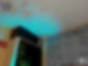 david_neill webcam preview