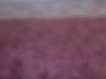 davidbigdick24 photo 2