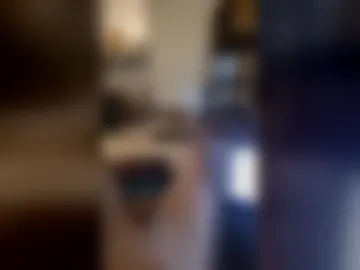 davidthefox live webcam preview