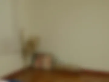 deanlek webcam preview