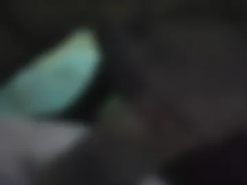 deli_la live webcam preview