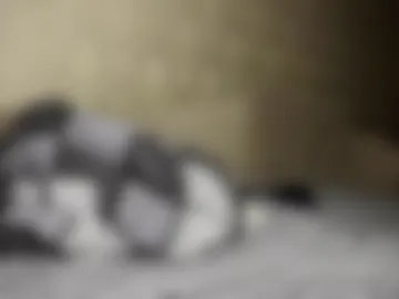 demoninangel photo 2