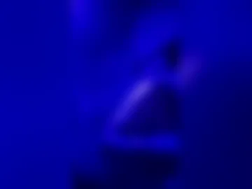 denis165971 live webcam preview