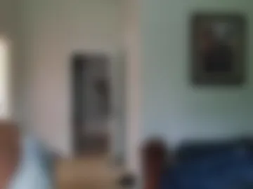 dextercollins webcam preview