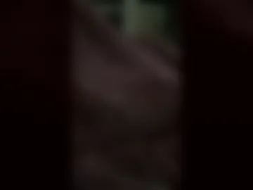 dhchxjxj live webcam preview