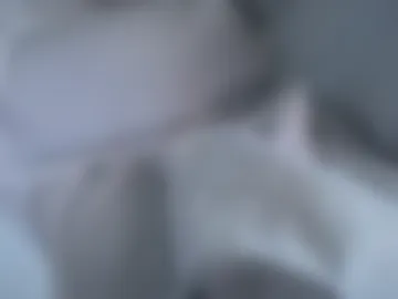 dickbboy19 photo 2