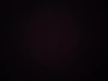 dickjulian webcam preview