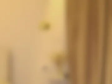 didiactive webcam preview