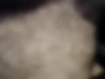 dinger773 live webcam preview