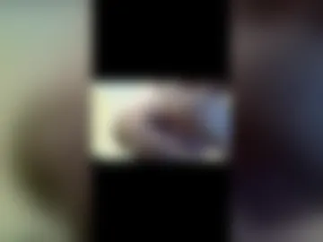 dinglerdingler webcam preview