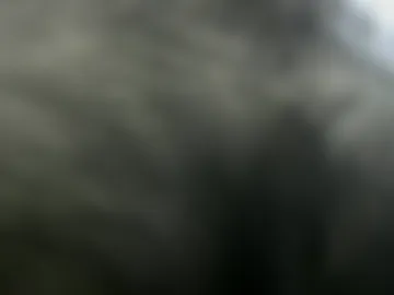 dirtyinsane photo 2