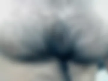dirtyinsane photo 7