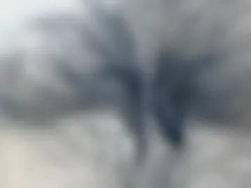 dirtyinsane photo 3