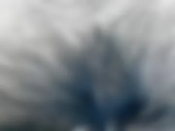 dirtyinsane webcam preview