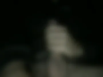 dmfsavage007 photo 2