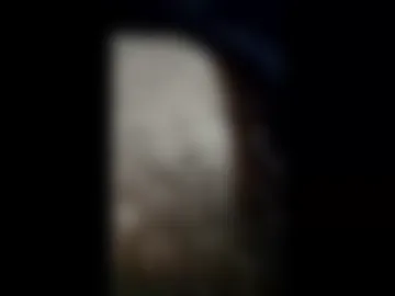 doggybrown21cm live webcam preview