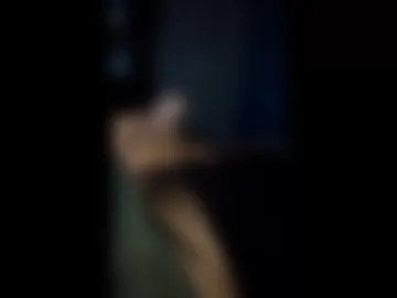 domi_rd live webcam preview