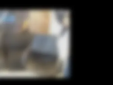 dominic356469 photo 2