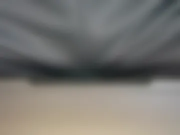 dominic_brand webcam preview