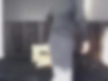 dominic_ghost photo 2