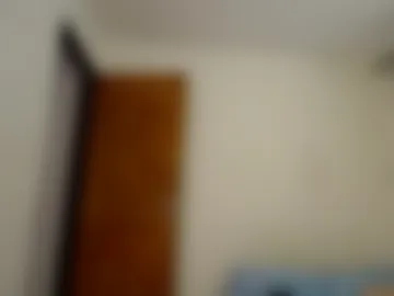 dominic_sofia webcam preview