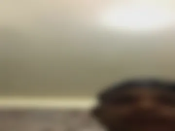 dominiking86 photo 2