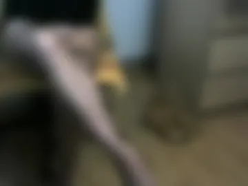 domino2303 webcam preview