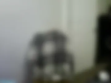 domohead0 photo 8
