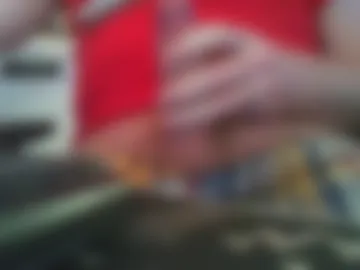 donkey_bonker live webcam preview