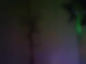 donosus webcam preview