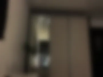 doublesees webcam preview