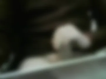 doudoudou1 live webcam preview