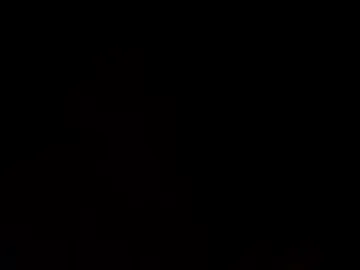 dpirated1 photo 3