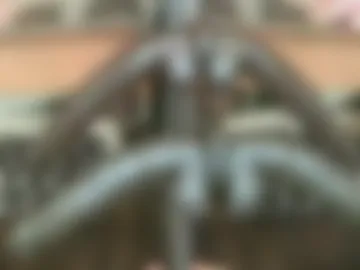 dpthroatorallybi photo 5