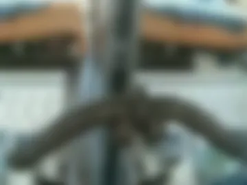 dpthroatorallybi live webcam preview