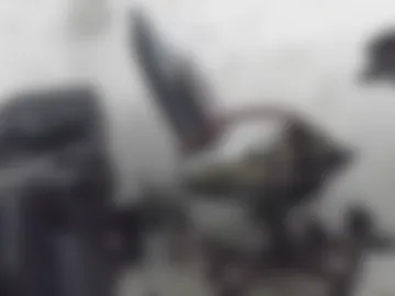 dr_squid_game123 photo 5