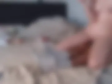 dreamgirl7777777 photo 8