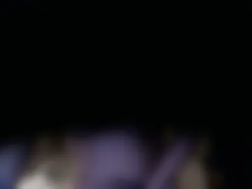 drlumberjack live webcam preview