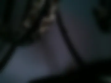 drolyts live webcam preview