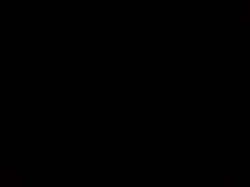 ds_80 photo 6