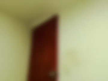 dualdoflow webcam preview