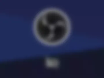 duo_meow webcam preview