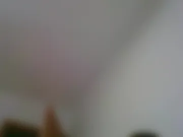 dusanlino13 live webcam preview