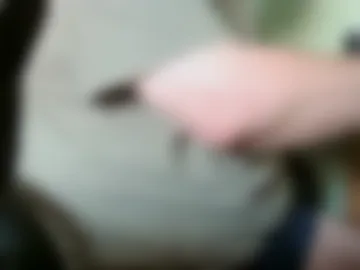 dutchunclejohn webcam preview