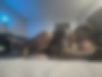 dyskizly live webcam preview