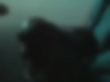 eddie69117 live webcam preview