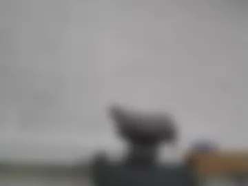 edwill13 live webcam preview