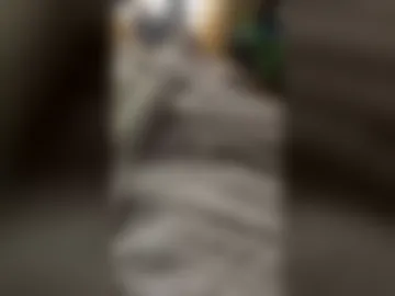 edza1245 live webcam preview