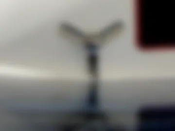 effiemur webcam preview