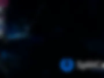 elarashine webcam preview